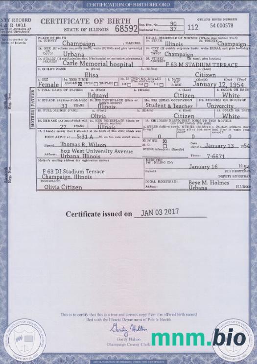 USA Illinois state narodziny certyfikat szablon w formacie PSD